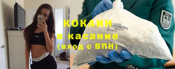 меф Арсеньев